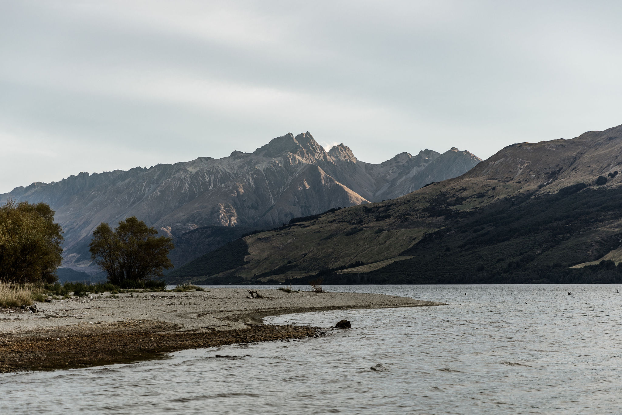 Head of the Lake Glenorchy - Susan Miller Photography